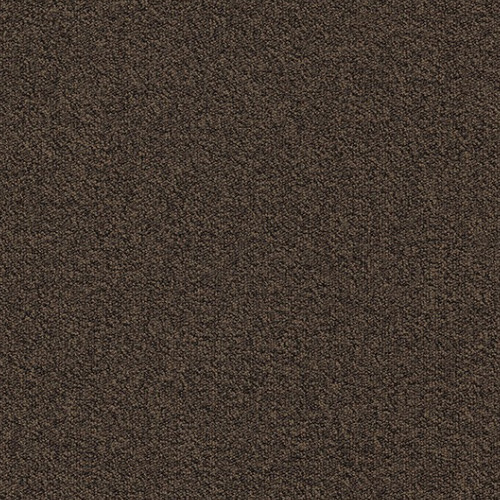 Millennium Nxtgen 883