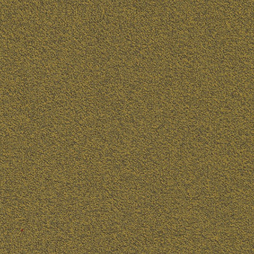 Millennium Nxtgen 210