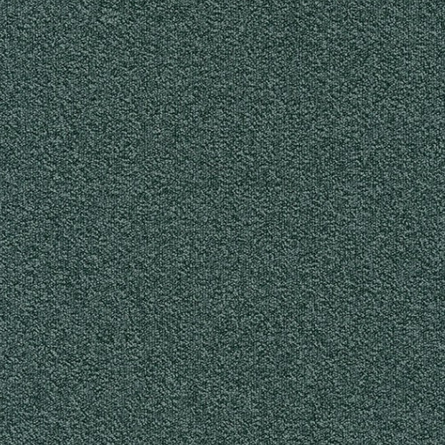 Millennium Nxtgen 579