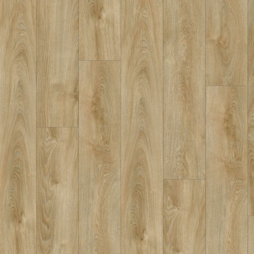 LayRed 40 22240 (Midland Oak)