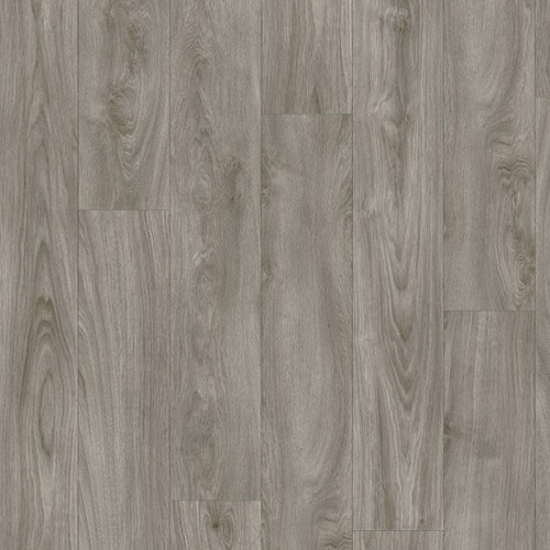 LayRed 40 22929 (Midland Oak)