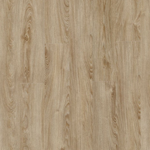 LayRed 40 22231 (Midland Oak)