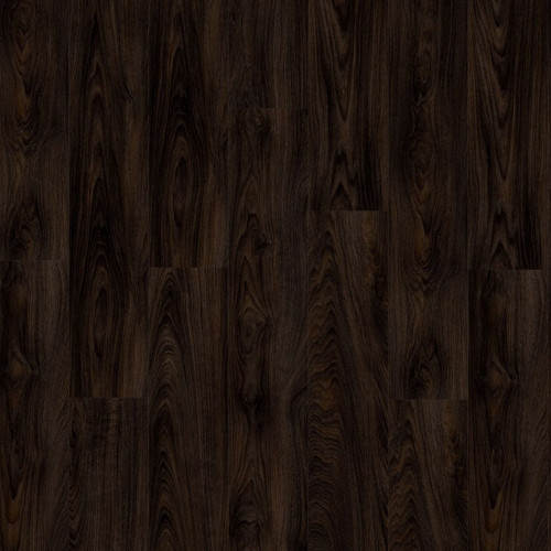 LayRed 55 EIR 51992<br>(Laurel Oak)