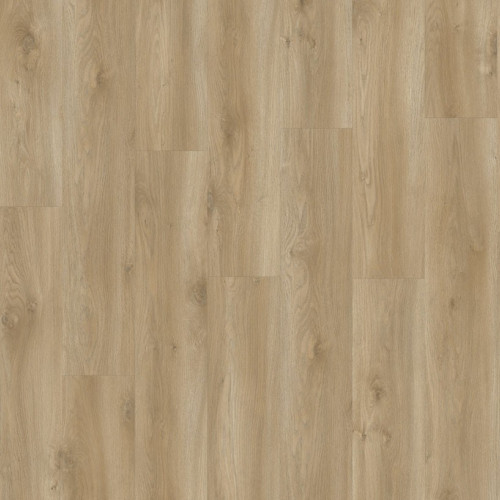 LayRed 55 EIR 58847<br>(Sierra Oak)