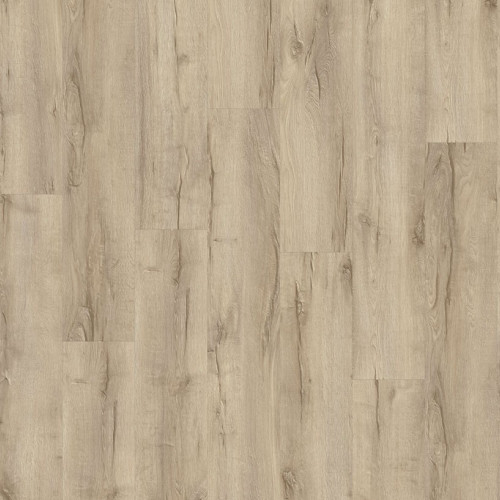 LayRed 55 EIR 56238<br>(Mountain Oak)