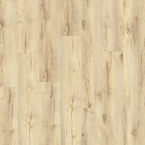 LayRed 55 EIR 56220<br>(Mountain Oak)