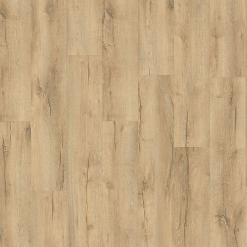LayRed 55 EIR 56275<br>(Mountain Oak)
