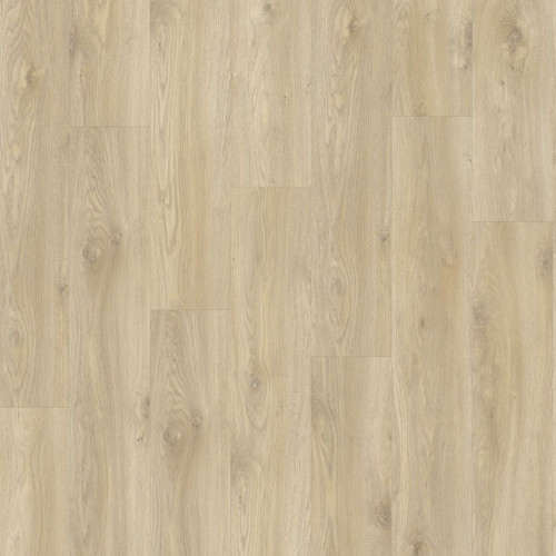 LayRed 55 EIR 58268<br>(Sierra Oak)