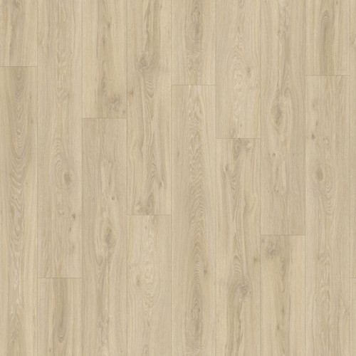 LayRed 55 22215 (Blackjack Oak)