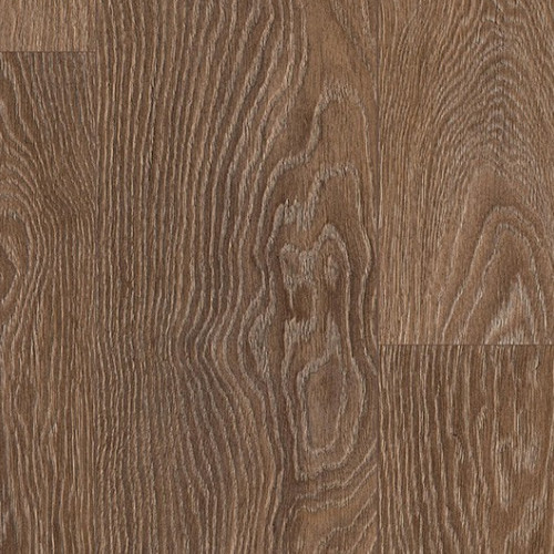Welcome 833 510017006 (Nevada Oak) 