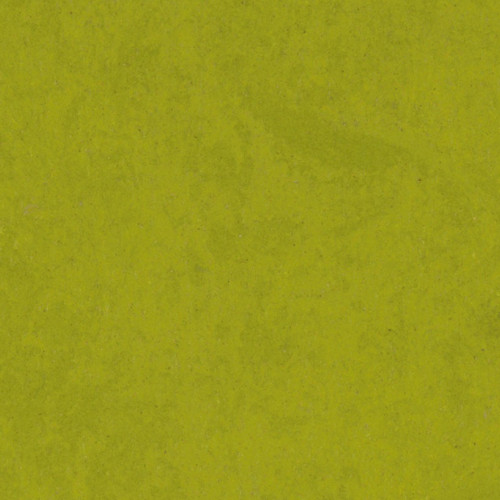 Style Emme xf² 14835215