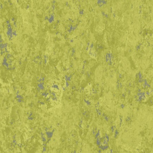 Veneto Sicuro xf² R10 1863695