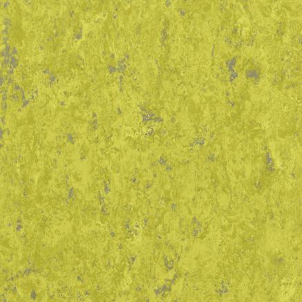 Veneto Silencio  xf² 14892695