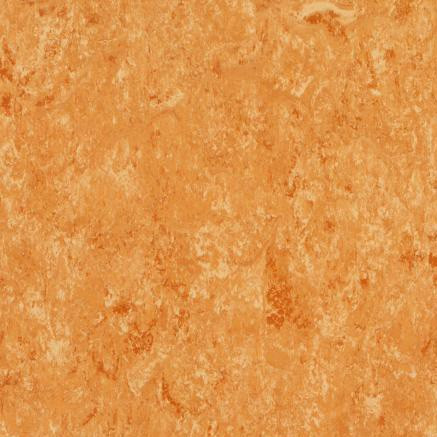 Veneto Silencio  xf² 14892634