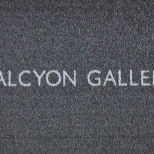 Logo Outdoor  Halcyon