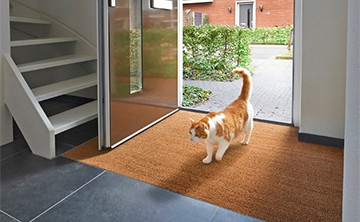Natural Coir Mat