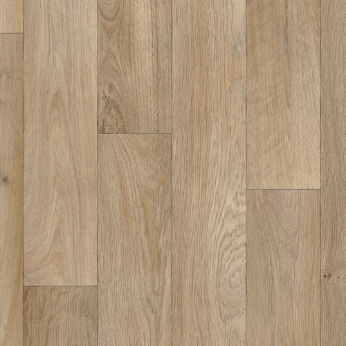 Optimise 70 Camargue T62