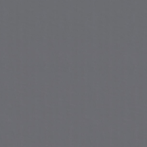 Tapiflex Platinium 100 25181916 (Uni)