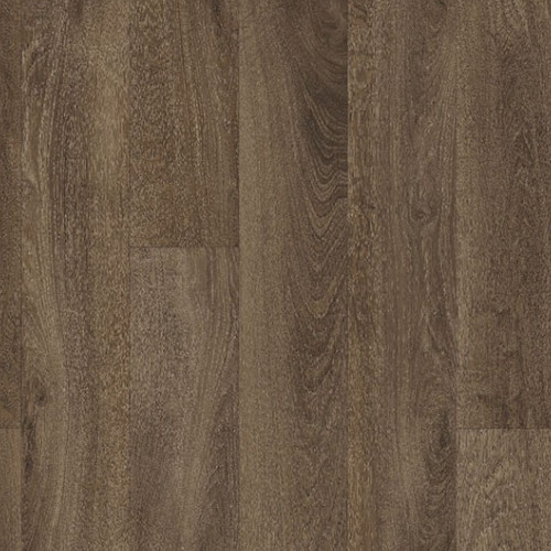 Exclusive 240<br>5827025