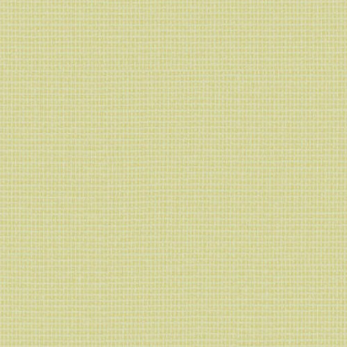 Acczent Excellence 80 25128131 (Tissage)