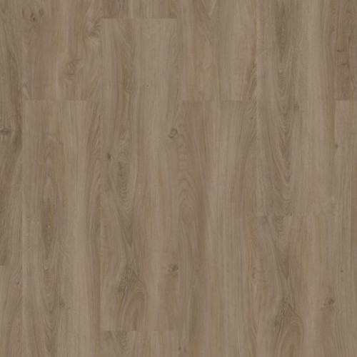 iD Square 24576302<br>(English)