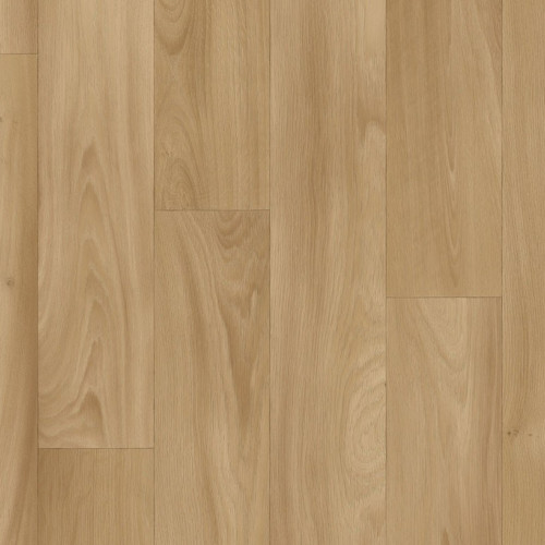 Isafe 70 Camargue 558