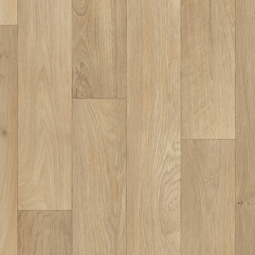 Isafe 70 Camargue 555