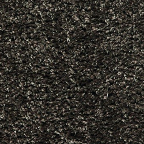 Shaggy Exclusive 780