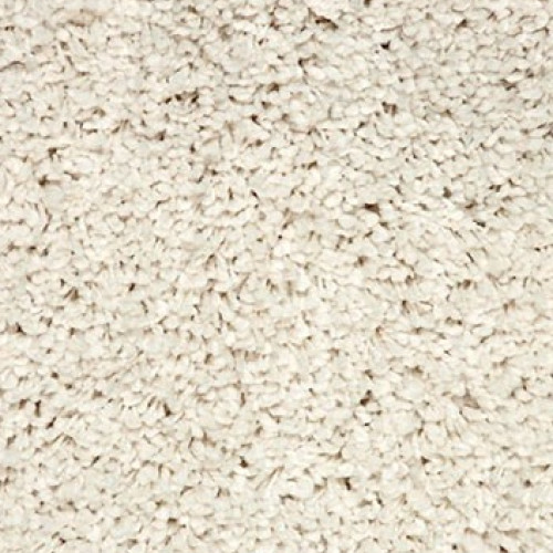 Shaggy Exclusive 600