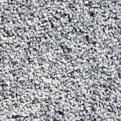 Shaggy Exclusive 320