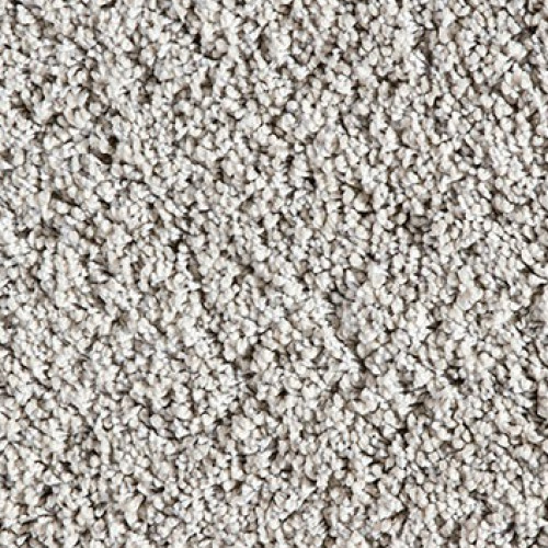 Shaggy Exclusive 900