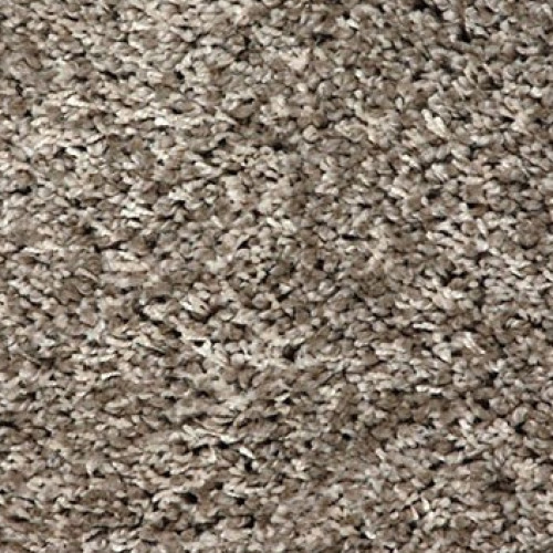 Shaggy Exclusive 910