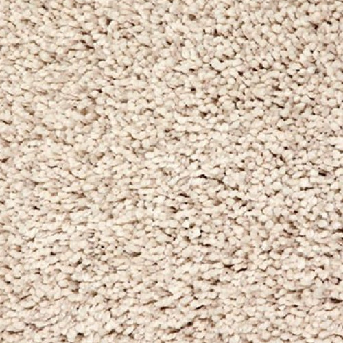 Shaggy Exclusive 620