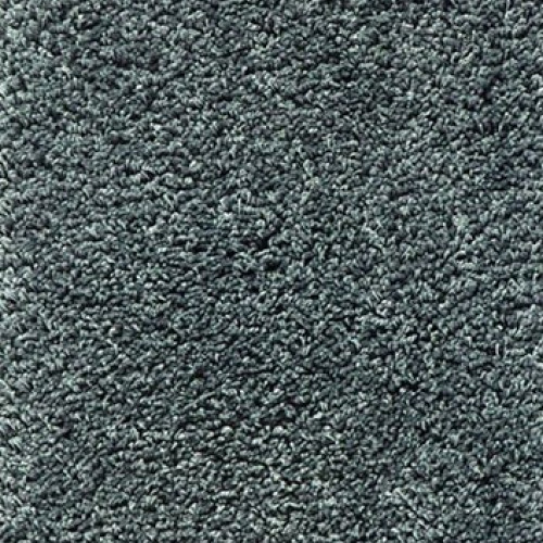 Shaggy Exclusive 955