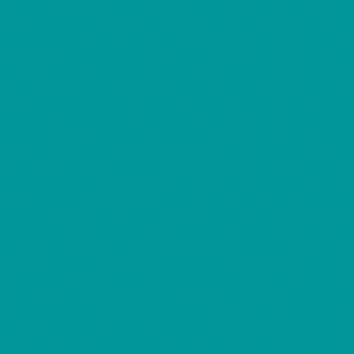 Omnisports Active 26524015<br>(Teal)