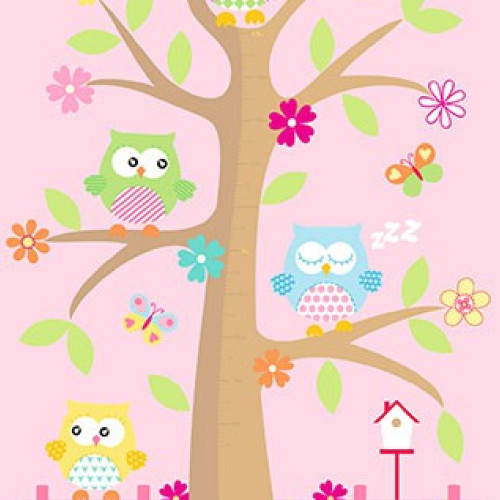 Coconet (Poster) P/582