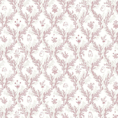 Tartine et Chocolat 36200203