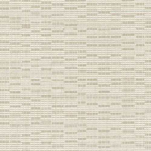 Back to Origins Vol.II 24 (Tillo Abalone)