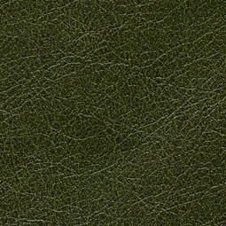 Cuirs Leathers VP/690/18 (Conquistador)