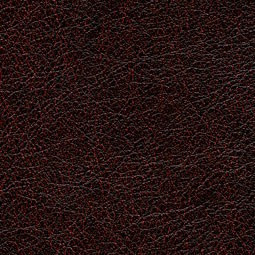 Cuirs Leathers VP/690/13 (Conquistador)