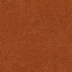 Cuirs Leathers VP/690/11 (Conquistador)