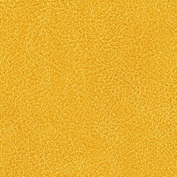 Cuirs Leathers VP/690/14 (Conquistador)