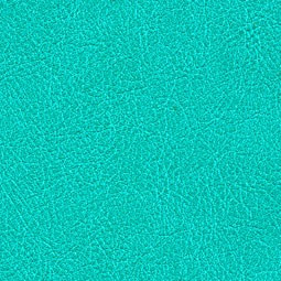 Cuirs Leathers VP/690/20 (Conquistador)