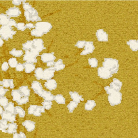 Glass VP/645/06 (Narco Flowers)