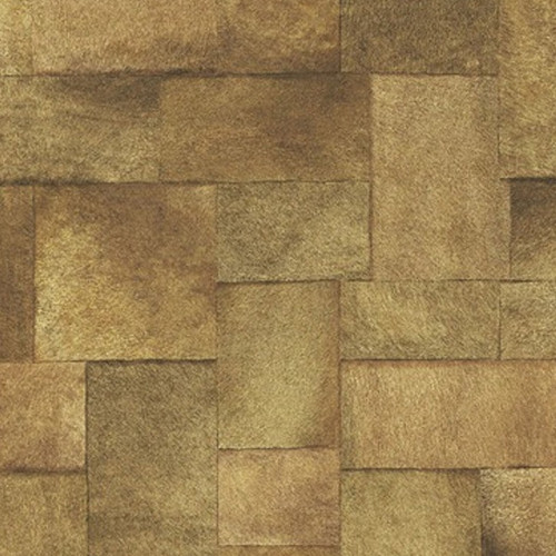 Indomptée VP 618 09