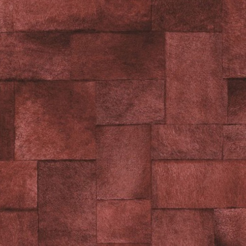 Indomptée VP 618 12