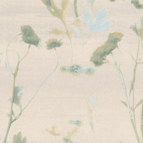 JV 141 5301<br>(Disegno Botanico)