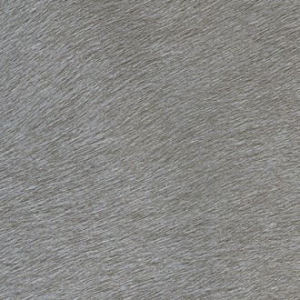 Mémoires VP 625/05 (Movida)