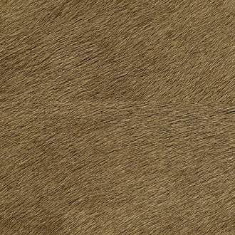 Mémoires VP 625/32 (Movida)