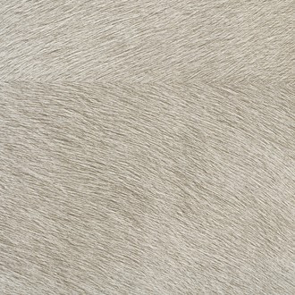 Mémoires VP 625/04 (Movida)